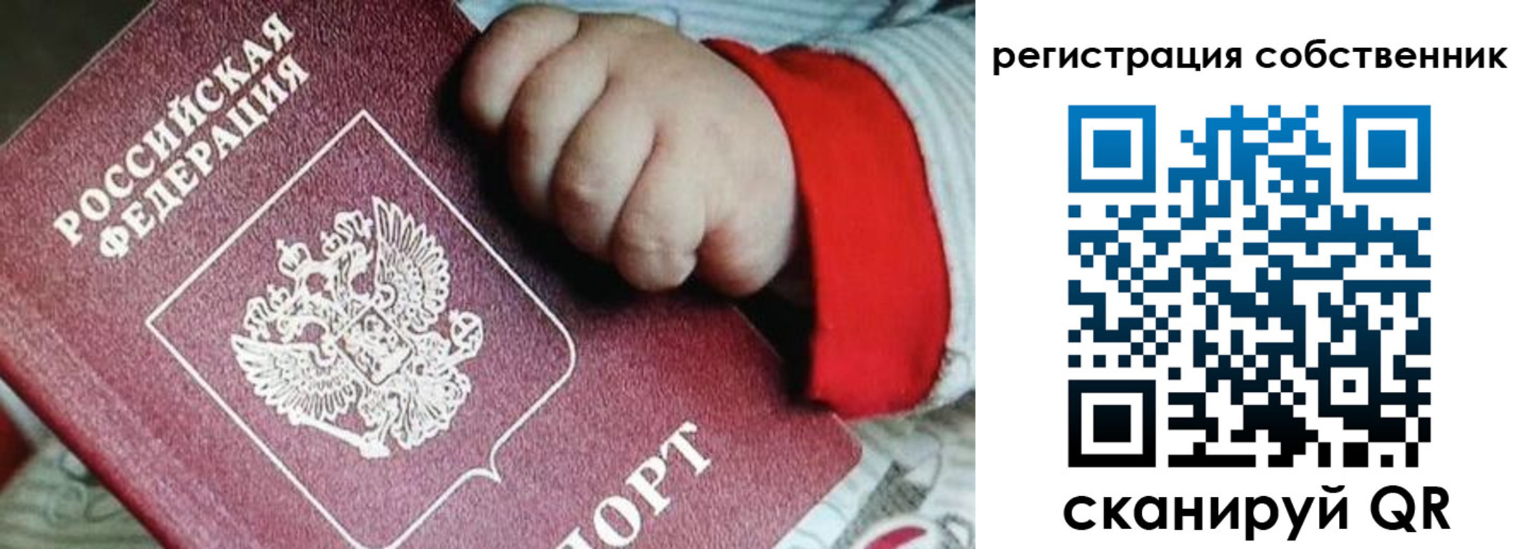 прописка ребенка в Владимире