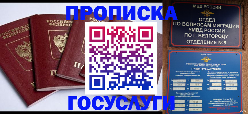 временная регистрация госуслуги в Владимире